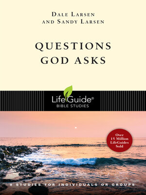 cover image of Questions God Asks